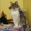 Отзыв от Динара Снегирева